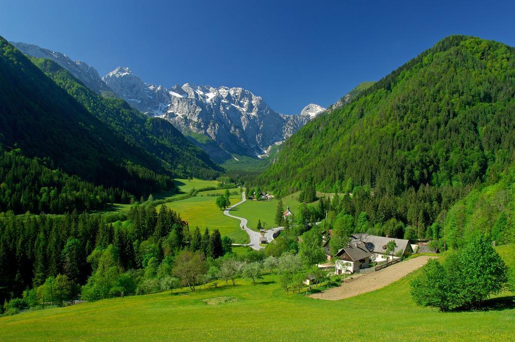 Holiday Chalet "Alpine Dreams" With Private Wellness Solčava Rom bilde